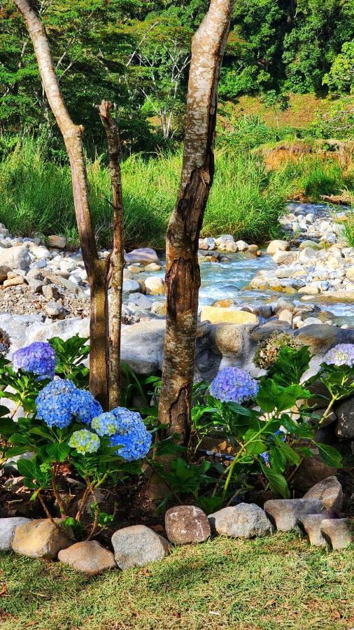 Rio Verde By Villa Alejandro Букет Екстериор снимка